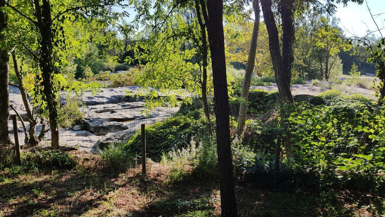 Gite Le Moulin De Rosieres Moulin Champetier Dış mekan fotoğraf